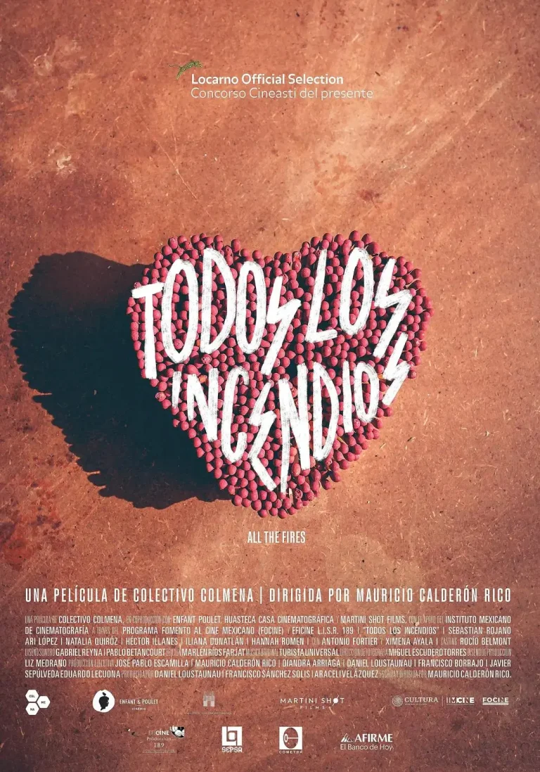 《不羁火》全集高清完整版在线观看与剧情解析