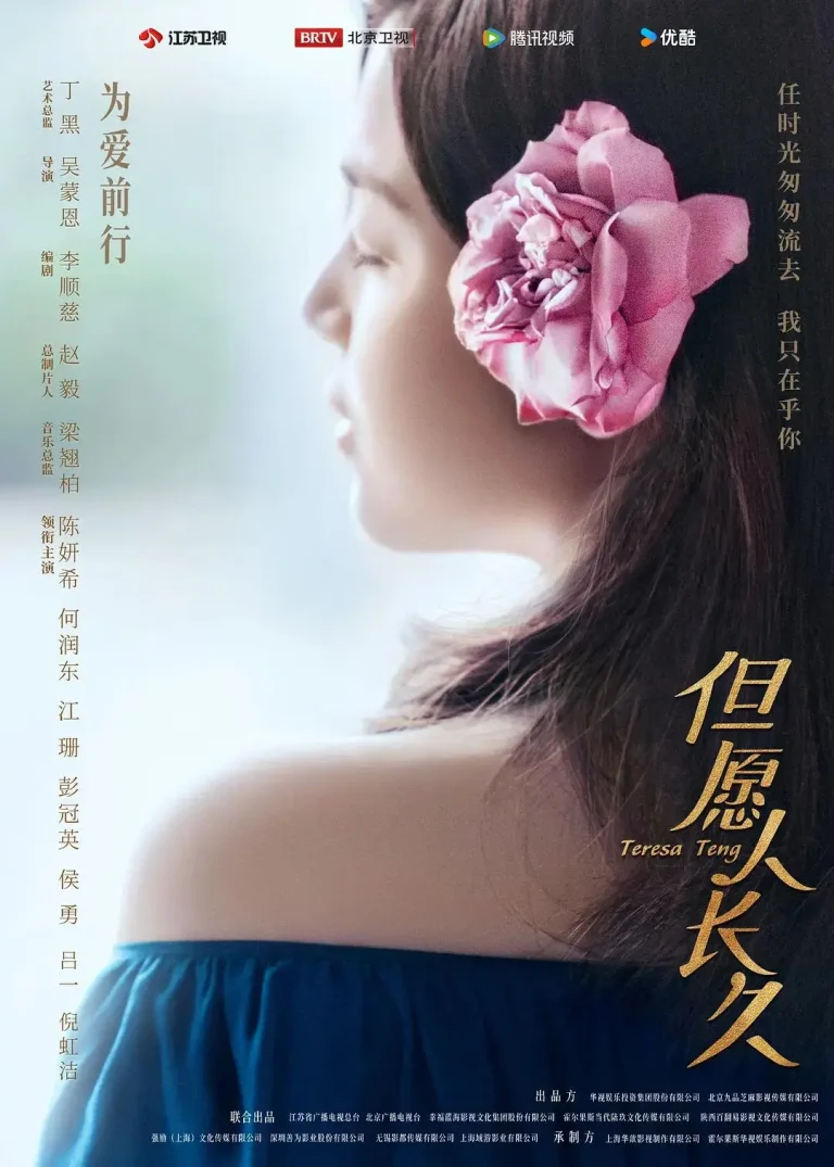 《但愿人长久》全集高清完整版在线观看与剧情解析