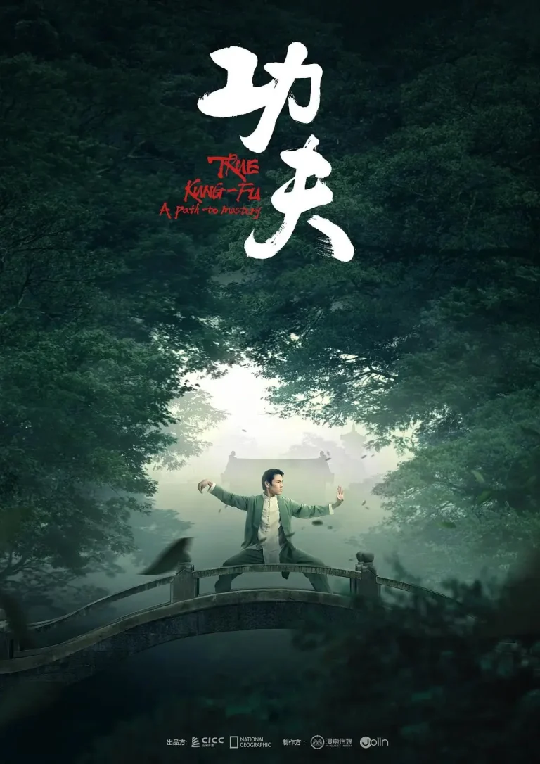 《功夫2023》全集高清完整版在线观看与剧情解析