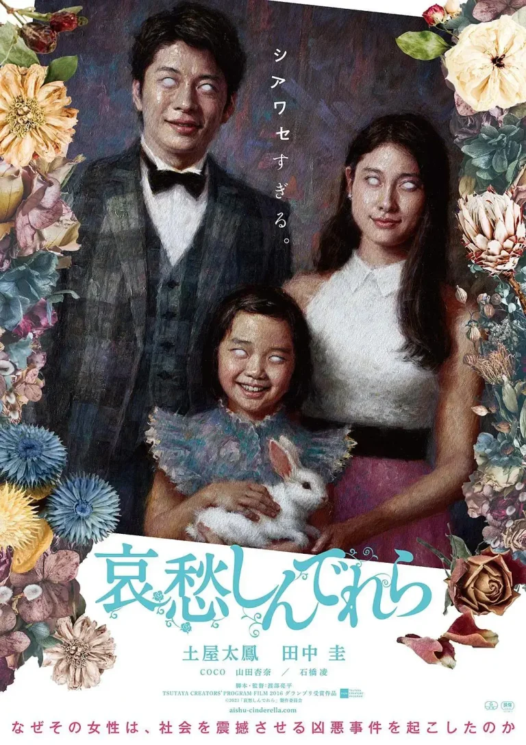 《哀愁灰姑娘》全集高清完整版在线观看与剧情解析