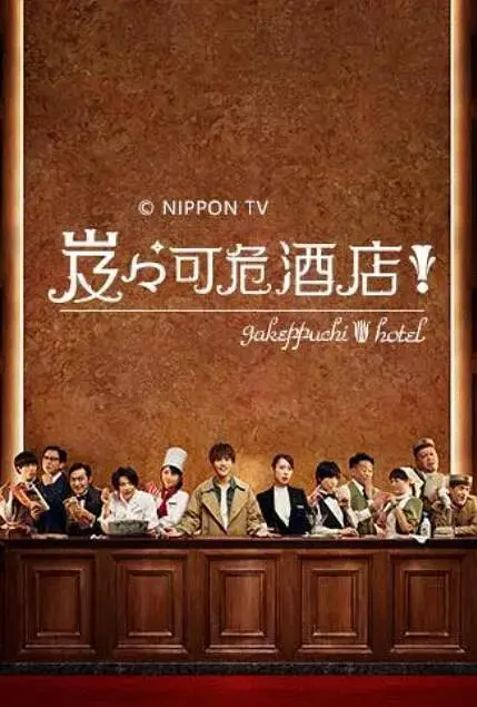 《岌岌可危酒店！》全集高清完整版在线观看与剧情解析