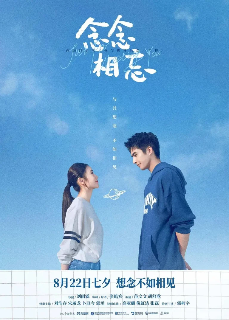 《念念相忘》全集高清完整版在线观看与剧情解析