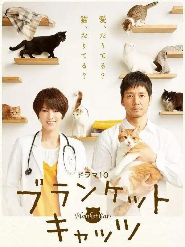 《毛毯猫》全集高清完整版在线观看与剧情解析