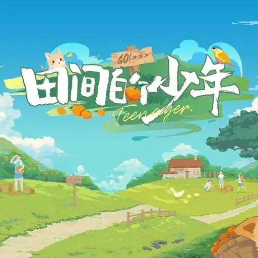 《田间的少年》全集高清完整版在线观看与剧情解析