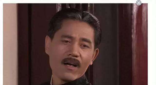 杨九红十年仅见白景琦两面:《大宅门》中偏房命运的关键转折点 - 情报图 杨九红十年仅见白景琦两面:《大宅门》中偏房命运的关键转折点 - 情报图